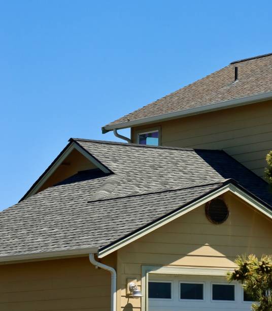 Best Roof Maintenance and Cleaning  in Morgantown, MS